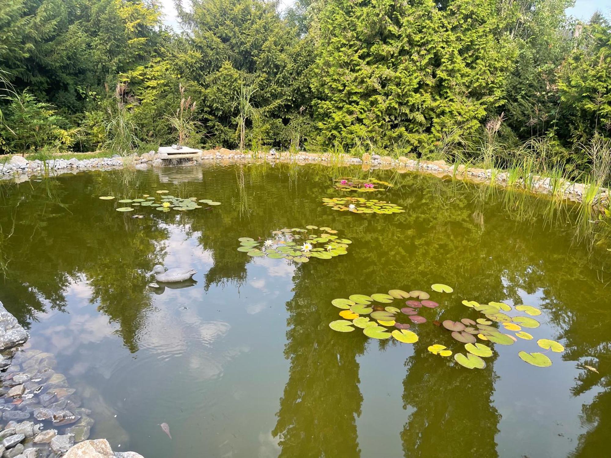 Moderne, Ruhige Ferienwohnung , Ideal Zum Abschalten Hadamar Bagian luar foto